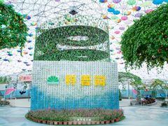 游乐设施-盈香心动乐园