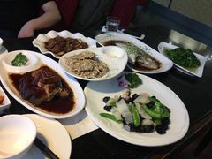 -云中小雅