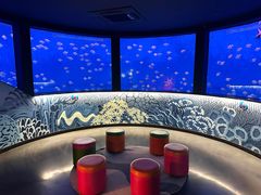 -沈阳海洋探索中心