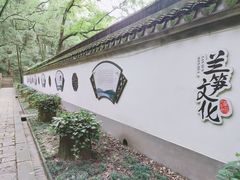 -上海佘山国家森林公园天马山园