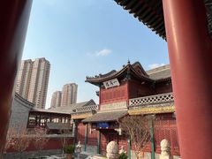 -天津大悲禅院