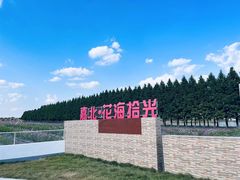 -嘉北郊野公园