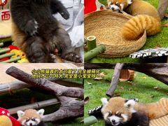 -常州淹城野生动物世界