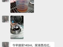-奈斯宠物医院·核磁CT·异宠专科·内镜(中南店)