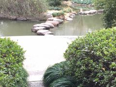 -新湖明珠城