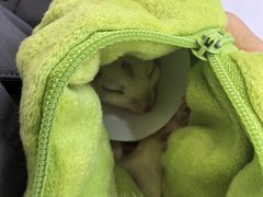 -达爱动物医院·犬猫分区·CT·复杂眼科(远洋山水分院)
