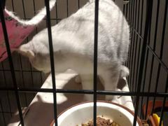 -津菜宋记老房子(鼓楼店)
