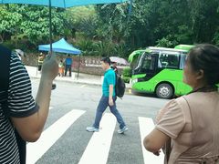 -深圳仙湖植物园-停车场