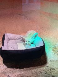 -酷嗒动物文化乐园(cutezoo西溪乐天城店)