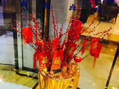 -苏州日航酒店-大堂酒廊(长江路店)