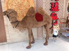 -北疆饭店(金狮广场店)