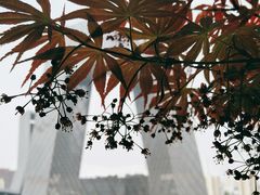 -中央广播电视总台(光华路办公区)