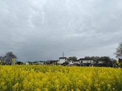 -桤木河湿地公园