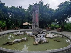 -英德宝晶宫天鹅湖茶语温泉