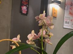 -施奈儿.洗头頭療.按摩SPA.采耳(上梅林店)