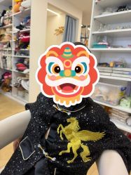 -雅尼·亚米儿童摄影美学馆(汉阳店)