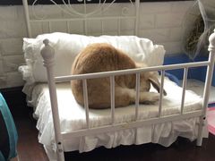 -雨林宠物医院 非犬猫异宠专科