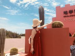 -漳州滨海火山岛自然生态风景区