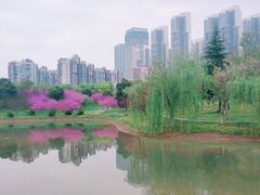 -堤角公园