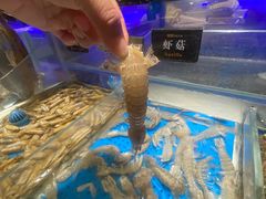 -加餐海鲜自助(宝龙一城店)