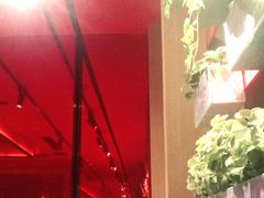 -瓦城泰国料理(芮欧百货店)