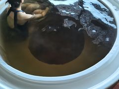 -春晖园度假酒店温泉