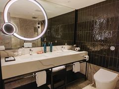 -新加坡乌节希尔顿酒店 (SG Clean)