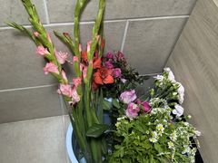 -花鸟鱼虫鲜花绿植市场(玉泉路店)