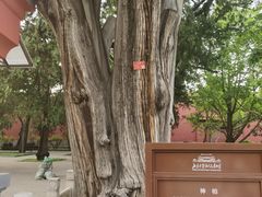 -北京市劳动人民文化宫(太庙)