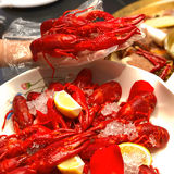 上海美食🦞羊蝎子配小龙虾才是夏天！