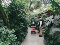 -金稼园·金平湖农家菜