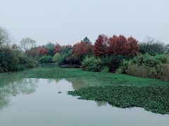 -中国湿地博物馆