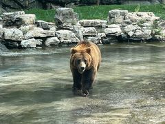 -北京野生动物园