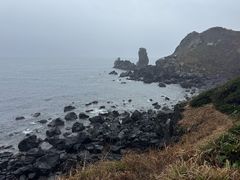 -涉地可支