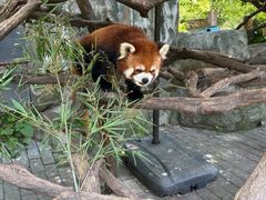 -常州淹城野生动物世界