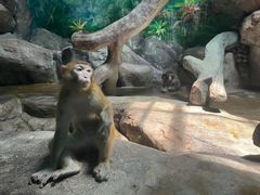 -福州罗源湾海洋世界旅游区