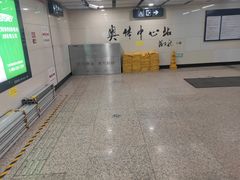 -奥体中心(地铁站)