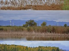 -野鸭湖国家湿地公园
