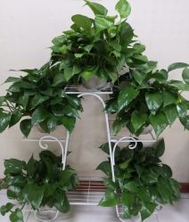 -痘博士北京·全国连锁祛痘机构