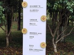 -七桥瓮公园