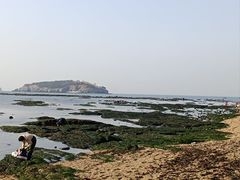 -傅家庄公园