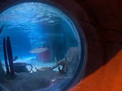 -沈阳海洋探索中心