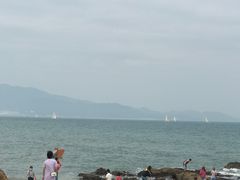-杨梅坑