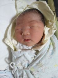 -复旦大学附属妇产科医院(杨浦院区)