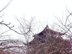 iphone_upload_pic-西安青龙寺遗址景区