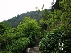 -佛慧山