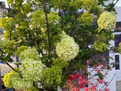 -映月湖中央公园