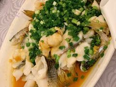 葱油鲈鱼-粤·向群饭店(龙津东路总店)