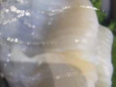 -桂马·日本料理·海胆·海鲜饭·酒场(民主广场店)