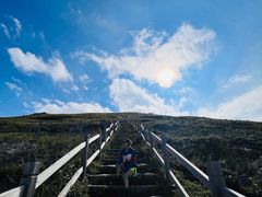 -灵山